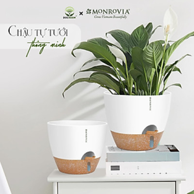 Chậu trồng cây tự tưới thông minh Monrovia A60 cho cây trong nhà và ngoài trời, decor, văn phòng
