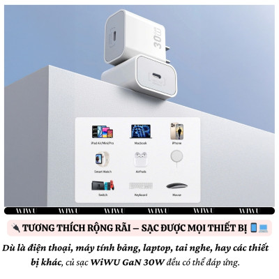 Bộ cóc củ dây sạc nhanh 30W USB C kèm dây Type C to Type C 60W PPS chống cháy hiệu WIWU GAN ESSEN Fast Charger cho iPhone 6 15 14 13 12 11 cho iPad S24 S25 Find Flip Fold - Hàng nhập khẩu