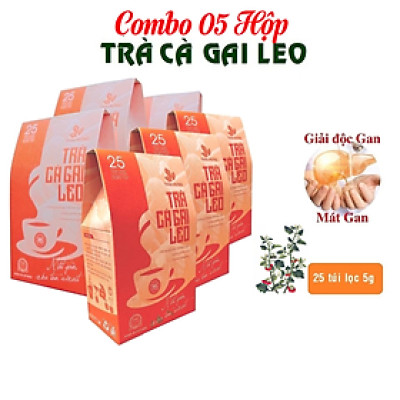 Combo 05 Hộp Trà Cà gai leo Thái Hưng 25 túi lọc x 05g (125g) - Mát gan, giải độc, giải rượu, giảm mụn nhọt