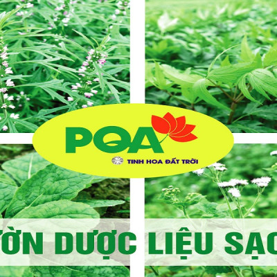 PQA Viên nén Phế Quản là dược phẩm thảo dược hỗ trợ bổ phế giúp ngăn ngừa các biểu hiện ho, ho có đờm, ho khan do viêm họng, viêm phế quản.