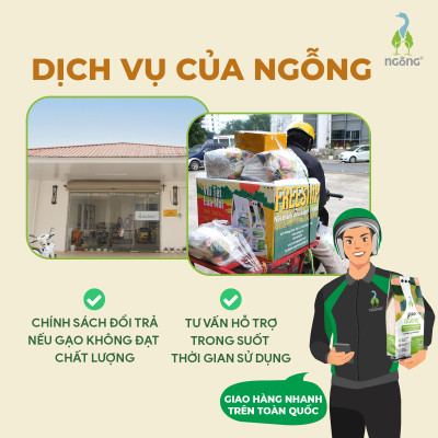 Gạo Ngỗng Sinh Thái ST25 - Gạo Sạch Ruộng Rươi Tôm Gói 700gr