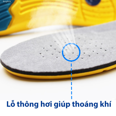 Bộ 3 mẫu lót giày thể thao, đêm êm bàn chân khi vận động, dùng để thay thế lót cũ - Buybox - BBPK26_BBPK128_BBPK155