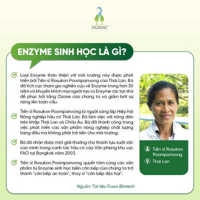 Lau Đa Năng Fuwa3e Cho Kính Bếp Sàn Ban Thờ Sạch Bong Mọi Bề Mặt Hương Nhu - Bạc Hà Thơm Mát Chai 500ml