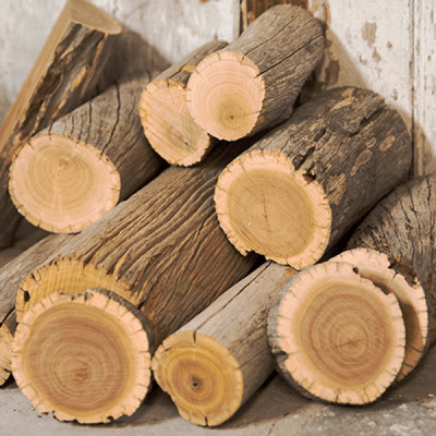 Tinh dầu gỗ Thông đen nguyên chất tự nhiên, xông phòng, khử mùi, thơm phòng, đuổi muỗi - KingOil