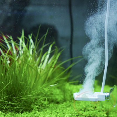 Máy ức chế Chihiros Doctor Mate, V4 ngừa rêu tảo. nấm khuẩn hại bể cá tép thủy sinh