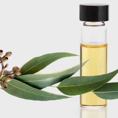 Tinh dầu Bạch Đàn Chanh 50ml nguyên chất từ thiên nhiên - KingOil