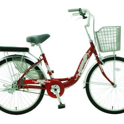 Xe Đạp Nữ Asama 24″ CLD-BR2401