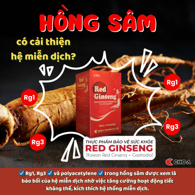 Thực Phẩm Bảo Vệ Sức Khỏe Red Ginseng Cải Thiện Hệ Miễn Dịch (Hộp x 10 Gói)