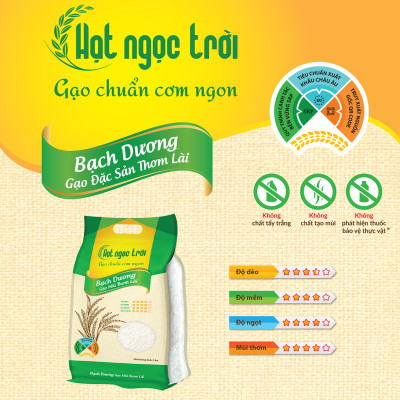 Gạo Hạt Ngọc Trời Bạch Dương Túi 5Kg