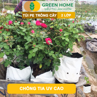 10 Túi Trồng Cây GreenHome, PE 2 Lớp, 18x36CM, Chống UV, Tiện Lợi, Độ Bền 1,5 Năm, Trồng Rau, Hoa