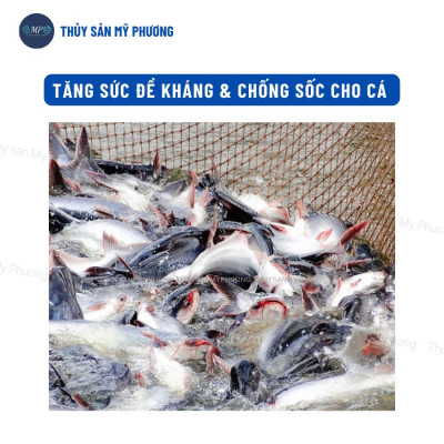 Bo bo trứng nước đông lạnh tạo phù du thức ăn tự nhiên hiệu quả không già Grow Fish cho tôm thẻ cá lươn ếch ốc ba ba