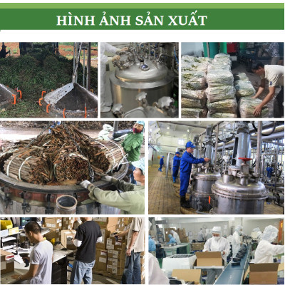 Tinh dầu Bạch Đàn Chanh 50ml nguyên chất từ thiên nhiên - KingOil