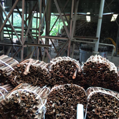 Tinh dầu Quế 10ml nguyên chất từ thiên nhiên - Mộc Mây