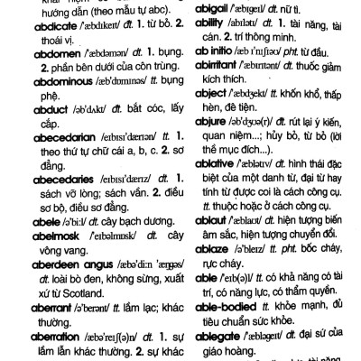 Từ Điển Anh - Việt 110.000 Từ (Tái Bản 2020)