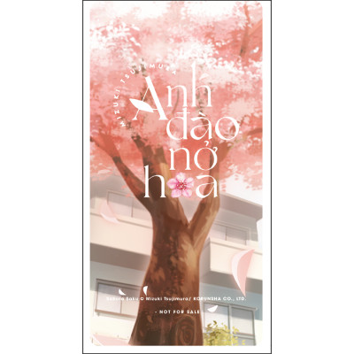 Sáhc Anh đào nở hoa (AZ)