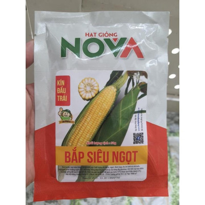 Hạt giống Bắp vàng Siêu ngọt (bắp ngọt vang mỹ ) Nova KNS36 - gói 50gram