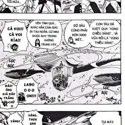Sách - One Piece - Tập 62 - Hành Trình Ở Đảo Người Cá (Tái Bản 2025)