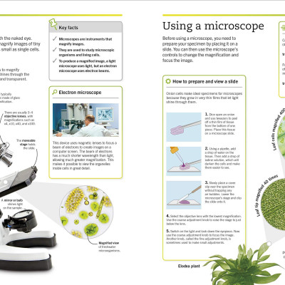 Super Simple Biology: The Ultimate Bitesize Study Guide