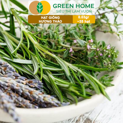 Hạt Giống Cây Hương Thảo GreenHome, Rosemary, Gói 0,03g~35 hạt, Dễ Trồng, Thu Hoạch Quanh Năm G06