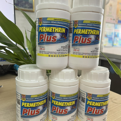 Combo 3 chai thuốc diệt muỗi nhập khẩu nguyên chai Anh Quốc Permethrin Plus 50EC chai 200 ml
