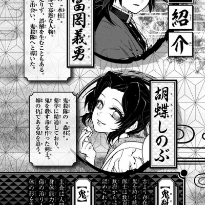 Demon Slayer: Kimetsu No Yaiba Side Stories (Japanese Edition)