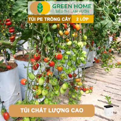 10 Túi Trồng Cây GreenHome, PE 2 Lớp, 18x36CM, Chống UV, Tiện Lợi, Độ Bền 1,5 Năm, Trồng Rau, Hoa