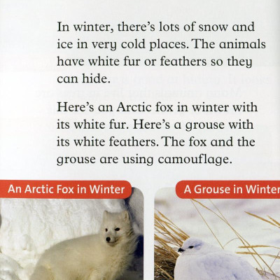 Oxford Read and Discover: Level 2: Camouflage