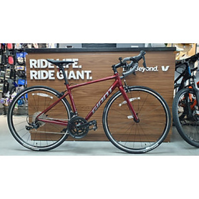 Xe đạp đua GIANT 2024 CONTEND 1