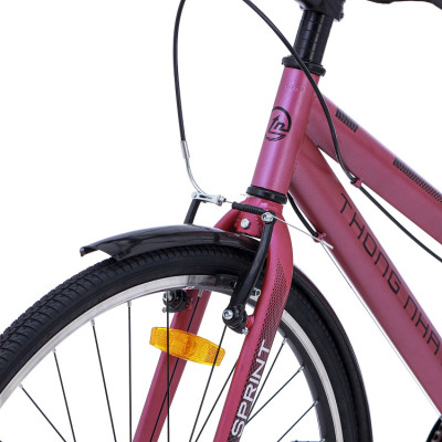 Xe đạp Thống Nhất thể thao GN06 2.0 pro Blackpink phiên bản đặc biệt