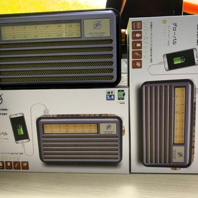 Đài Radio FM DS-1975BT Nhật-Kiểu Dáng Cổ Điển - Loa Bluetooth 5.4 Hỗ Trợ USB, Thẻ nhớ, Cáp sạc typeC - Hàng chính hãng