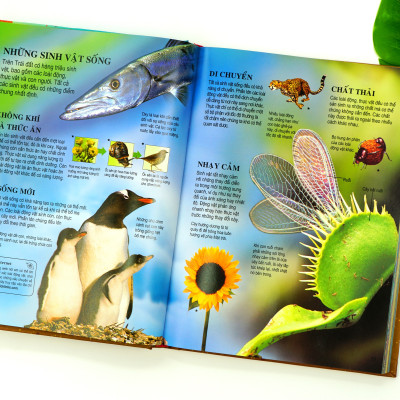 Sách Thiếu Nhi – Bách Khoa Tri Thức Dành Cho Trẻ Em – Đinh Tị