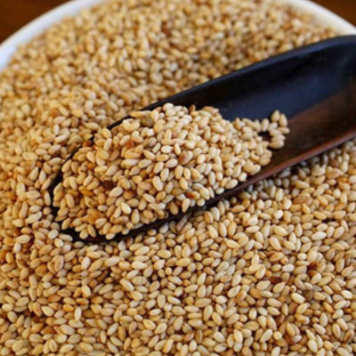 Xốt Mè Rang Ottogi 150g