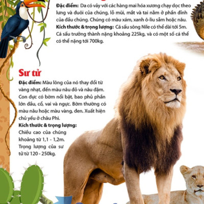 Khám Phá Thế Giới Động Vật 5 Châu - Châu Phi