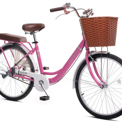 Xe đạp mini Thống Nhất Autumn LD 24-01 - Hàng chính hãng