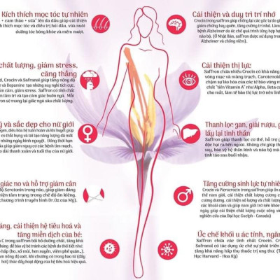 Nhụy hoa nghệ tây Tashrifat Saffron loại chuẩn Negin (1 Grams)