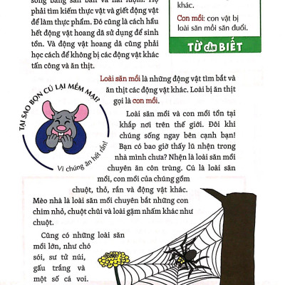 Khám Phá Săn Và Bị Săn Quang Học Cùng 25 Dự Án Tuyệt Vời