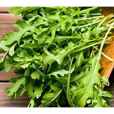 Hạt giống rau cải rocket cao sản CT341 - Gói 20gram