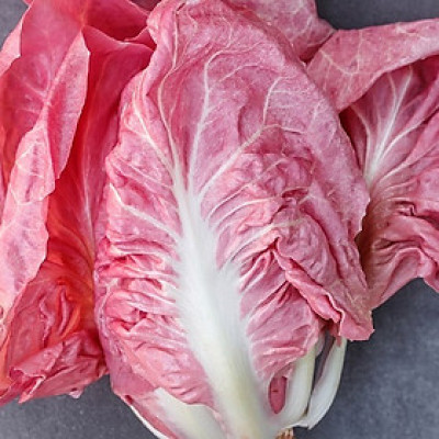 Hạt giống xà lách Diếp Hồng VTP60