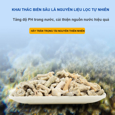 3KG San Hô Vụn vật liệu lọc hồ cá, trang trí bể cá, hồ thủy sinh cao cấp 