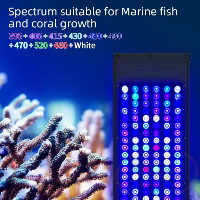 Đèn led biển Week Aqua Z Sea Marine Z400 quang phổ bể nước mặn san hô cá biển