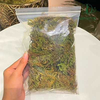 Rêu rải bồn cây - rêu trang trí chậu cây giả (giá 1 bịch)