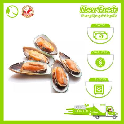 Vẹm Xanh Newzealand Talley - Hộp 1Kg (20-30 con)