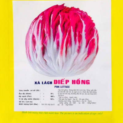 Hạt giống xà lách Diếp Hồng VTP60