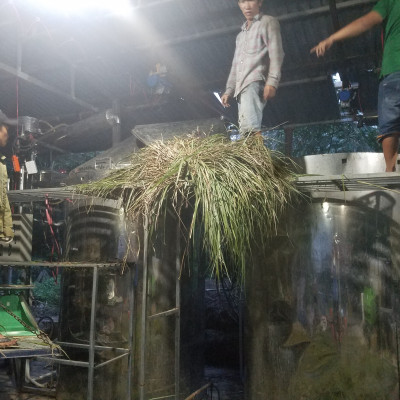 Tinh dầu Sả Chanh Organic 10ml Mộc Mây - tinh dầu nguyên chất từ thiên nhiên - chất lượng và mùi hương vượt trội