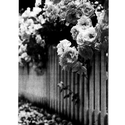 Bí Quyết Của Thành Công (Khổ Lớn) (Tái Bản 2019)