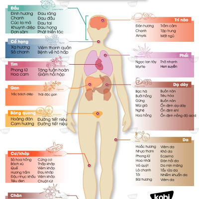 Tinh Dầu Thiên Nhiên Kobi 100ml Nguyên Chất, Tinh Dầu Xông Phòng, Giúp Giảm Stress, Xua Đuổi Côn Trùng Và Khử Mùi Hiệu Quả