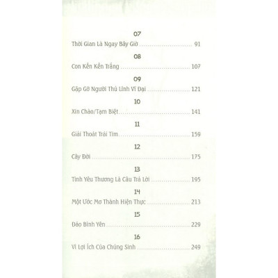 Mảnh Lực Trái Tim