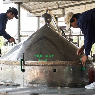 Tinh dầu Gỗ Đàn Hương 50ml Mộc Mây - tinh dầu thiên nhiên nguyên chất 100% - chất lượng và mùi hương vượt trội - Có kiểm định - Hương ngọt ngào, trầm, dai dẳng, quyến rũ nồng ấm từ loài gỗ quý hiếm nhất thế giới…