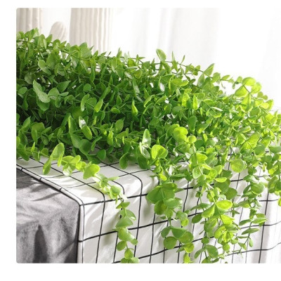 Dây Leo cúc tần ấn độ lá to - Size dài từ 90cm đến 120cm - Cây giả, hoa lụa Decor trang trí nhà cửa