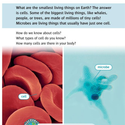 Oxford Read and Discover 6 Cells and Microbes